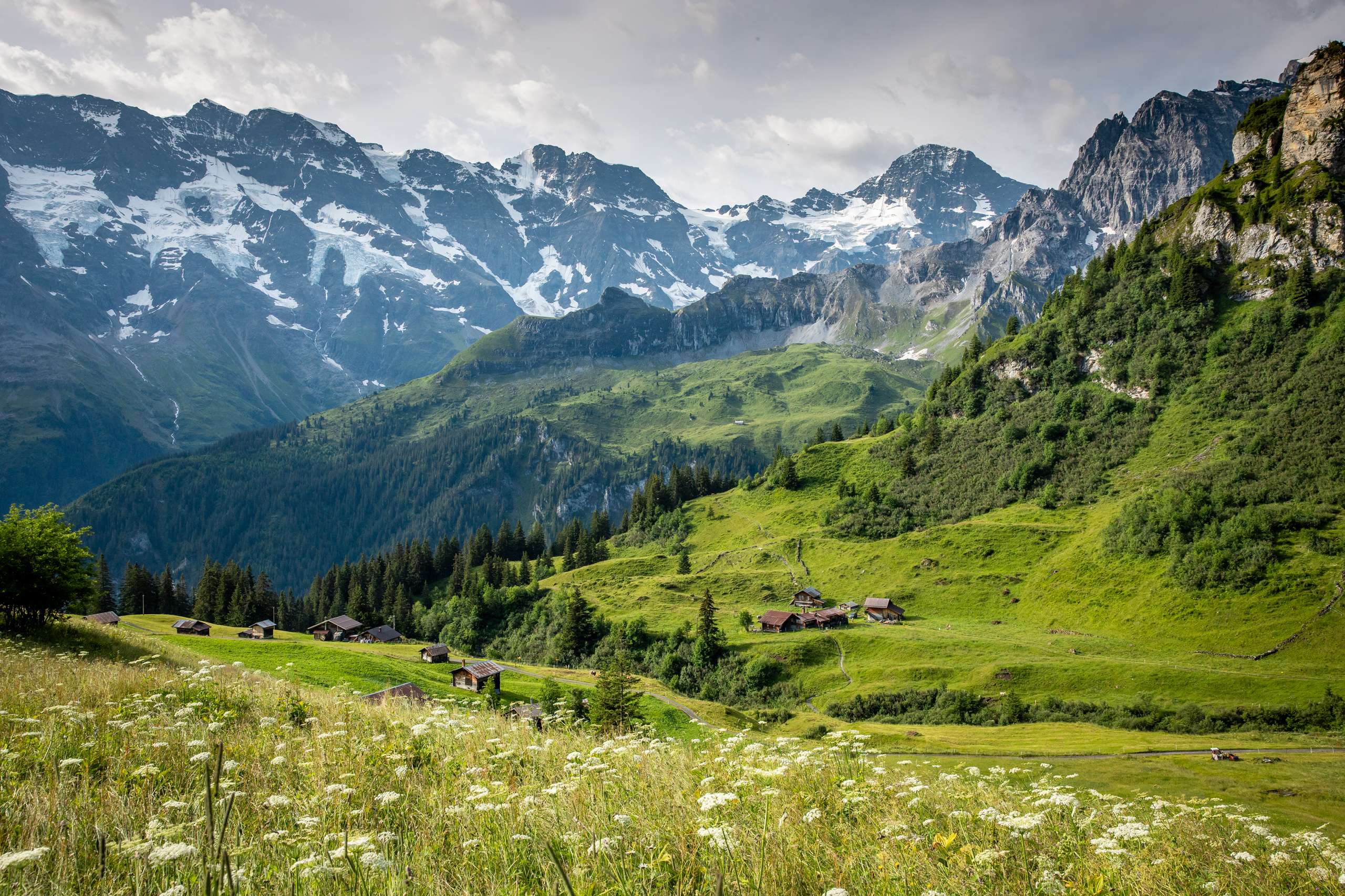 Aussicht von Schiltalp ins Tal mit Blumenwiesen im Vordergrund und schneebedecktem Mittagshorn (links) und Breithorn (rechts) im Hintergrund.